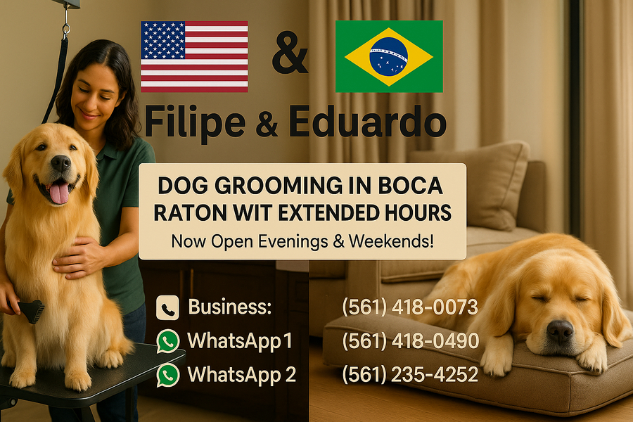 Cover photo of Eduardo’s Dog Grooming & Pet Spa – Boca Raton 33433